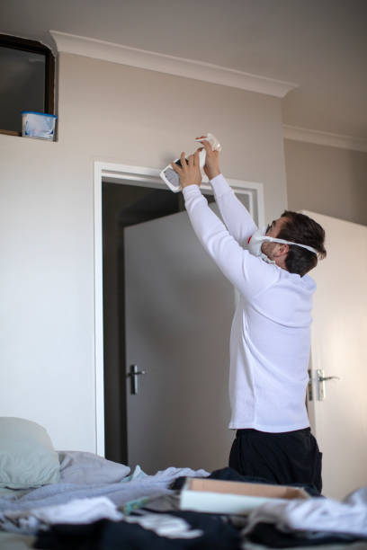Best Comprehensive Air Testing for Mold Contaminants  in Molalla, OR