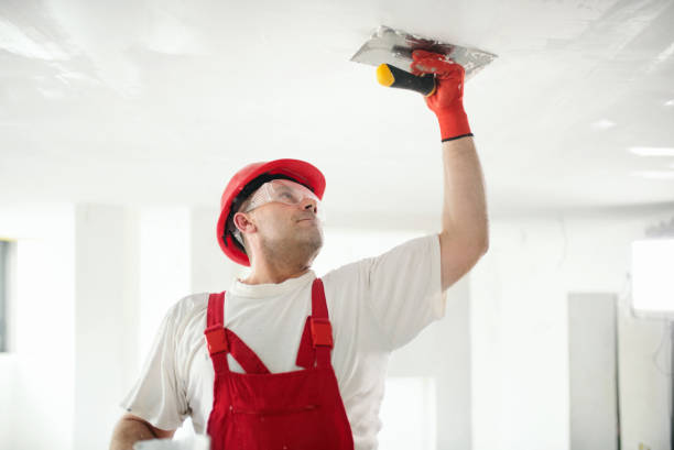 Best Emergency Mold Remediation  in Molalla, OR