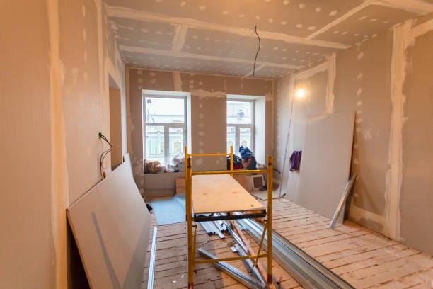 Best Basement Mold Removal  in Molalla, OR